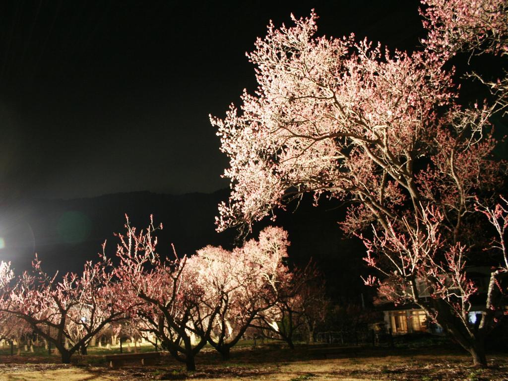 Hotel Uzuraya Chikuma Dış mekan fotoğraf